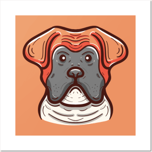 Cute boxer dog face Posters and Art